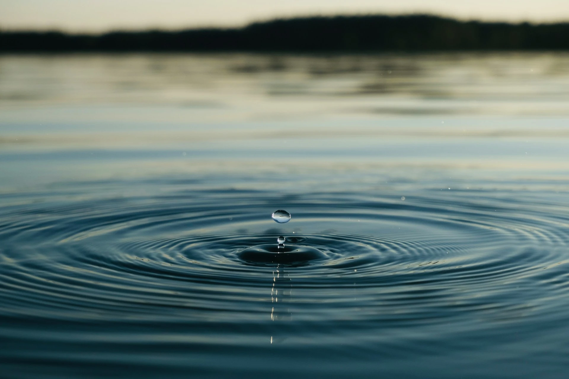 About Perleybrook Labs